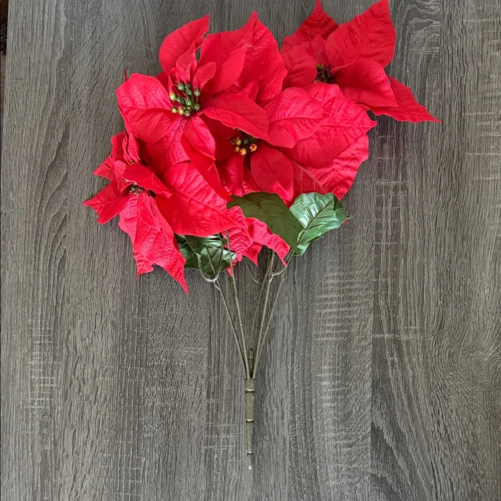 Red Poinsettia Stem